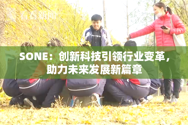SONE：创新科技引领行业变革，助力未来发展新篇章