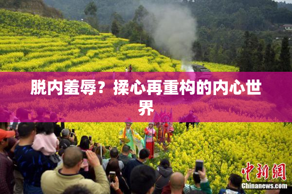 脱内羞辱？揉心再重构的内心世界