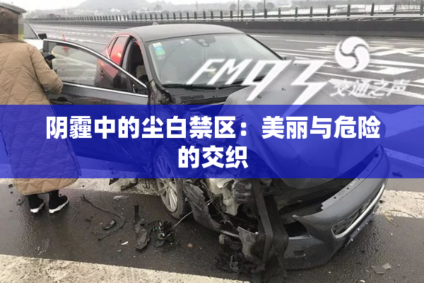 阴霾中的尘白禁区：美丽与危险的交织