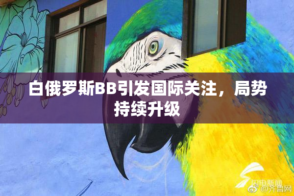 白俄罗斯BB引发国际关注，局势持续升级