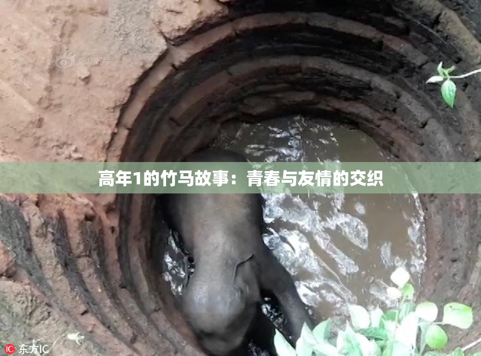 高年1的竹马故事：青春与友情的交织