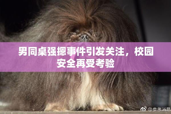 男同桌强摁事件引发关注，校园安全再受考验