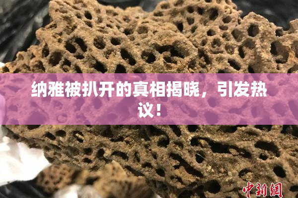 纳雅被扒开的真相揭晓，引发热议！