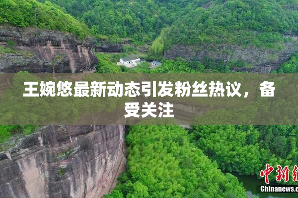 王婉悠最新动态引发粉丝热议，备受关注