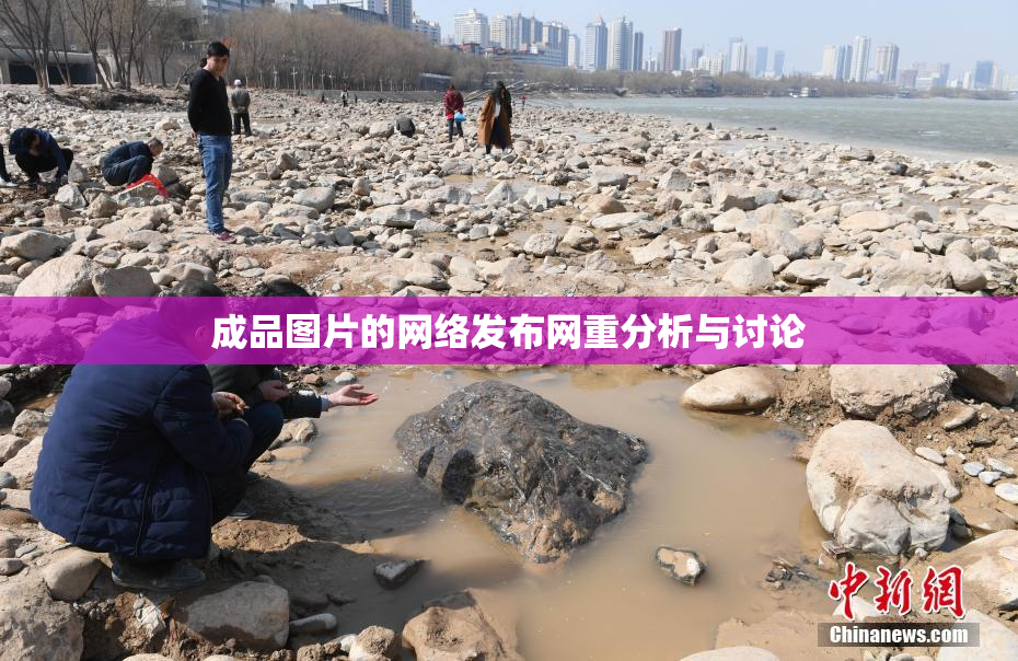 成品图片的网络发布网重分析与讨论