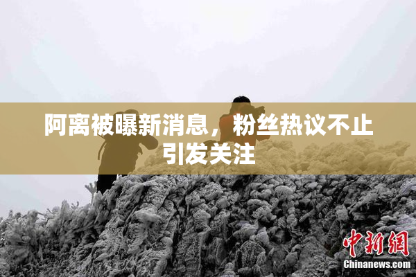 阿离被曝新消息，粉丝热议不止引发关注