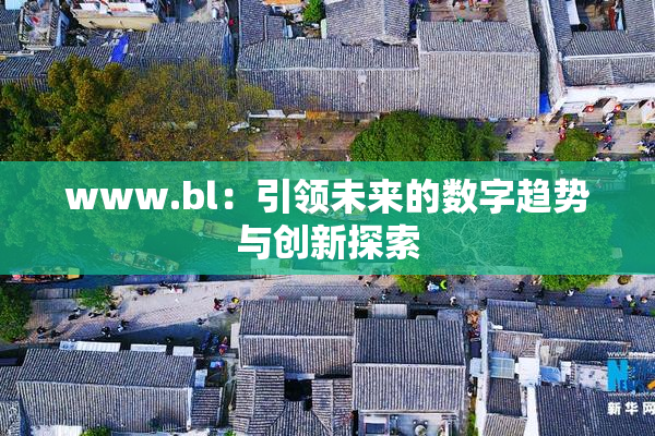 www.bl：引领未来的数字趋势与创新探索