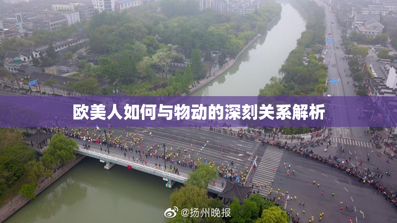 欧美人如何与物动的深刻关系解析