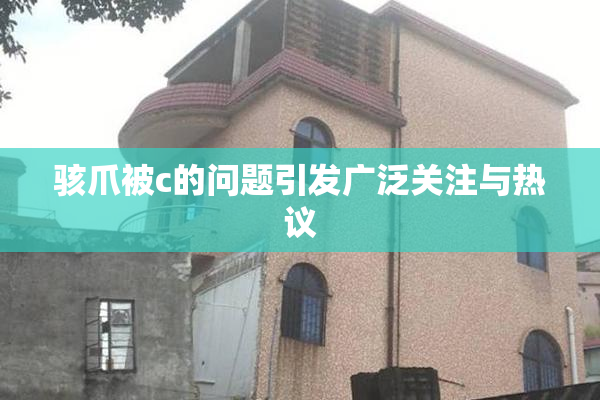 骇爪被c的问题引发广泛关注与热议