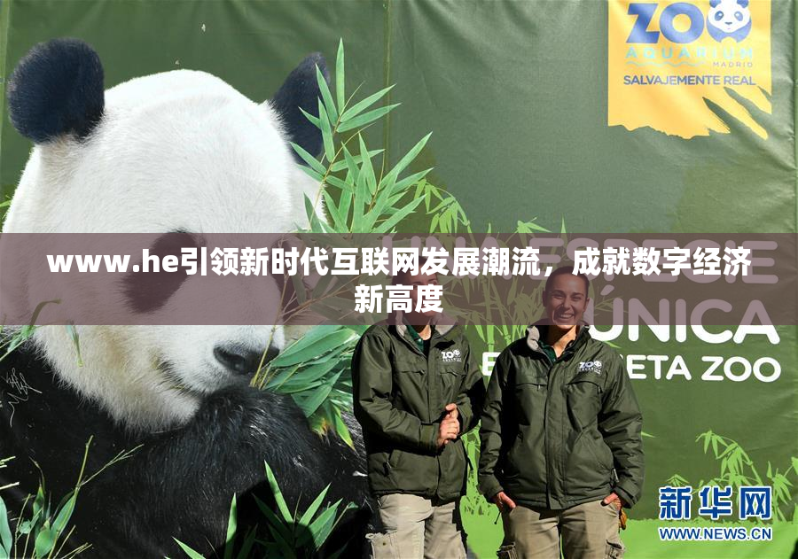 www.he引领新时代互联网发展潮流，成就数字经济新高度