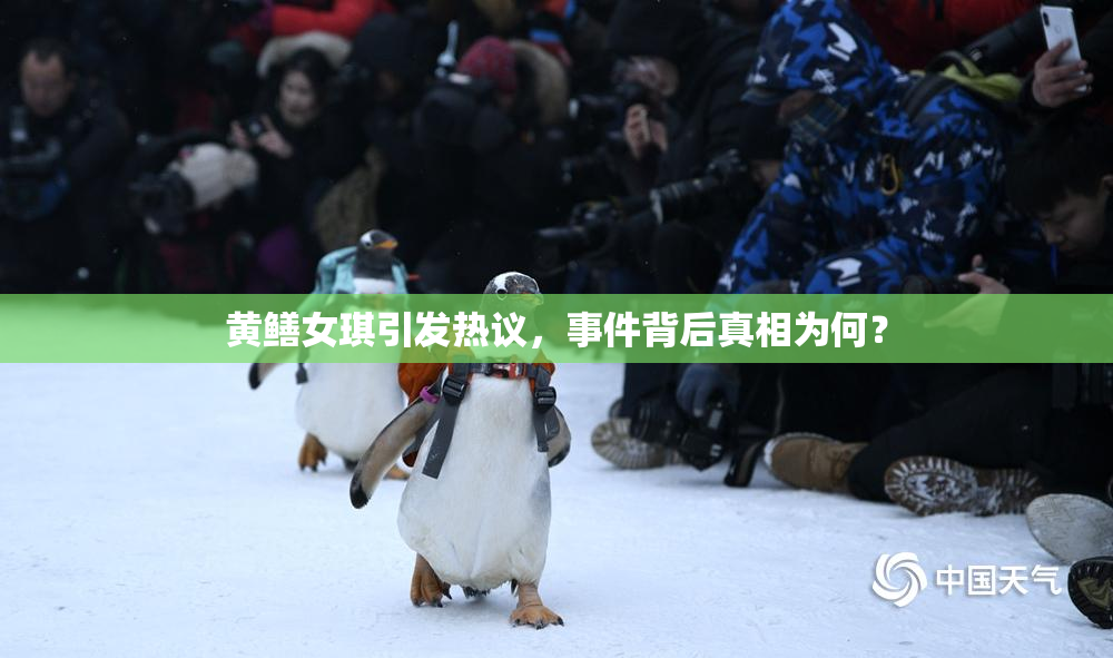黄鳝女琪引发热议，事件背后真相为何？