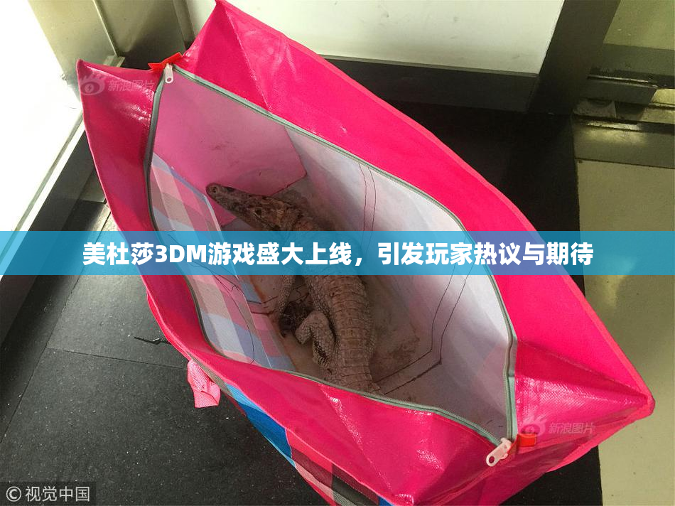 美杜莎3DM游戏盛大上线，引发玩家热议与期待