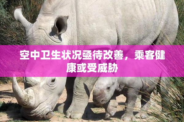 空中卫生状况亟待改善，乘客健康或受威胁