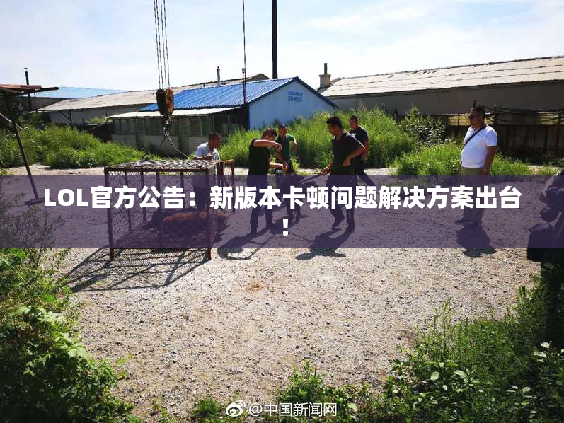 LOL官方公告：新版本卡顿问题解决方案出台！