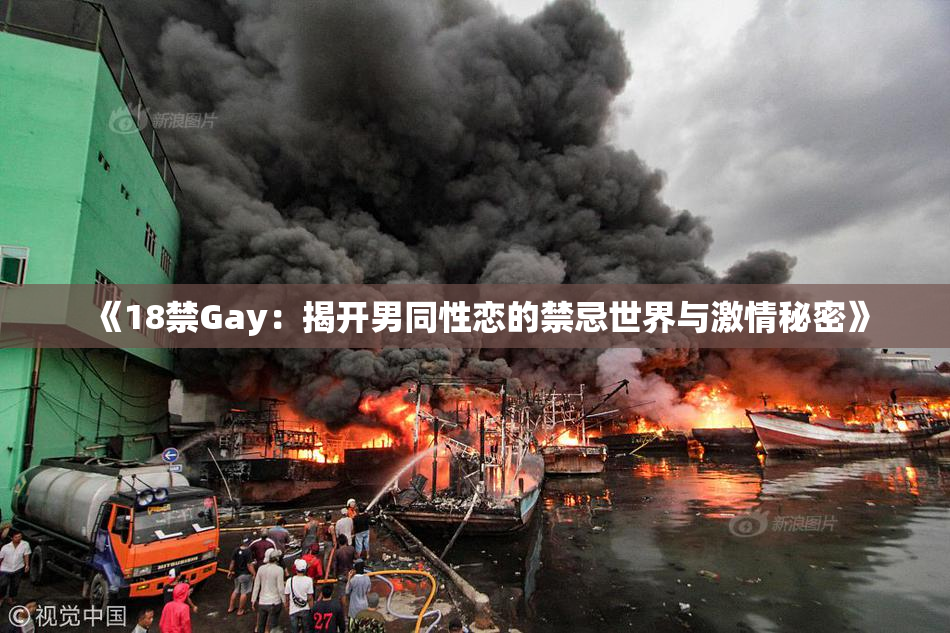 《18禁Gay：揭开男同性恋的禁忌世界与激情秘密》