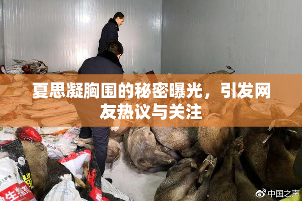 夏思凝胸围的秘密曝光，引发网友热议与关注