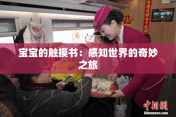 宝宝的触摸书：感知世界的奇妙之旅
