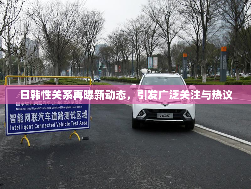 日韩性关系再曝新动态，引发广泛关注与热议