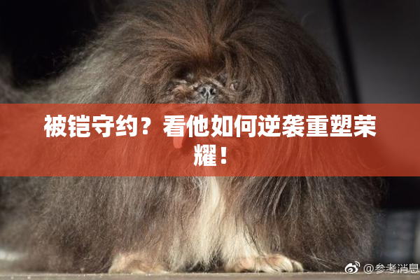 被铠守约？看他如何逆袭重塑荣耀！