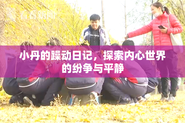 小丹的躁动日记，探索内心世界的纷争与平静