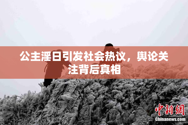公主淫日引发社会热议，舆论关注背后真相
