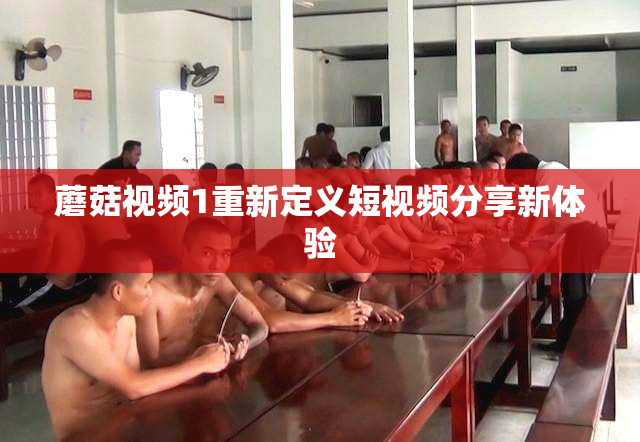 蘑菇视频1重新定义短视频分享新体验