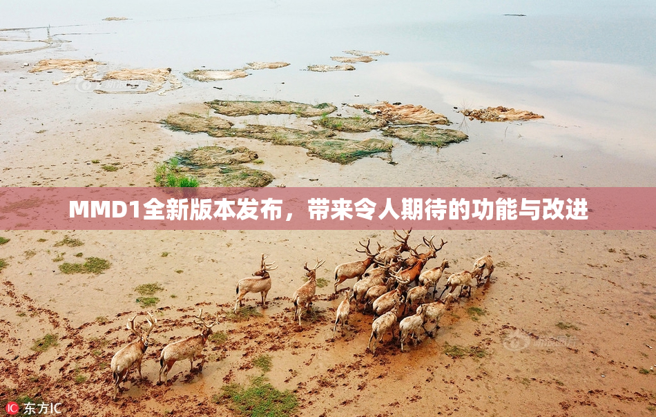 MMD1全新版本发布，带来令人期待的功能与改进