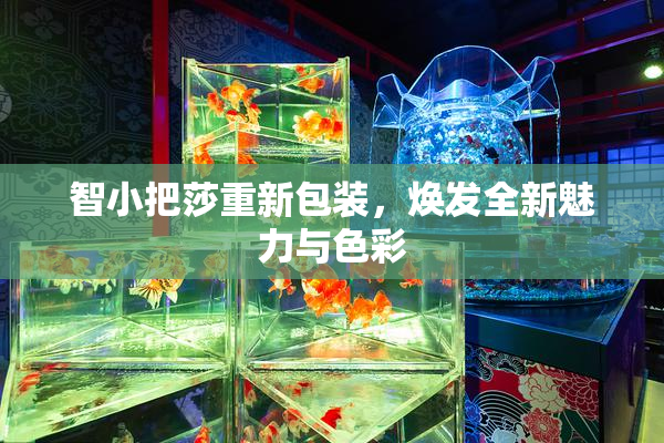 智小把莎重新包装，焕发全新魅力与色彩