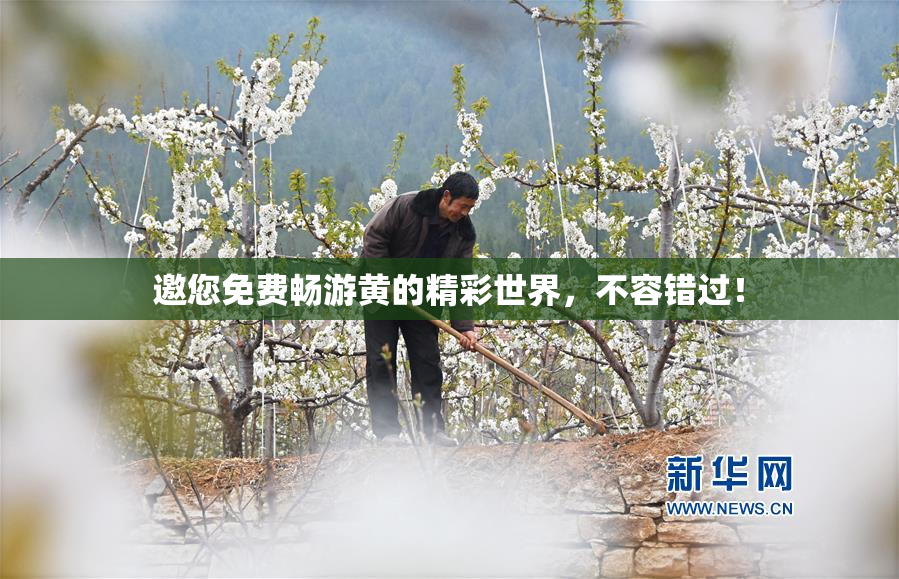 邀您免费畅游黄的精彩世界，不容错过！
