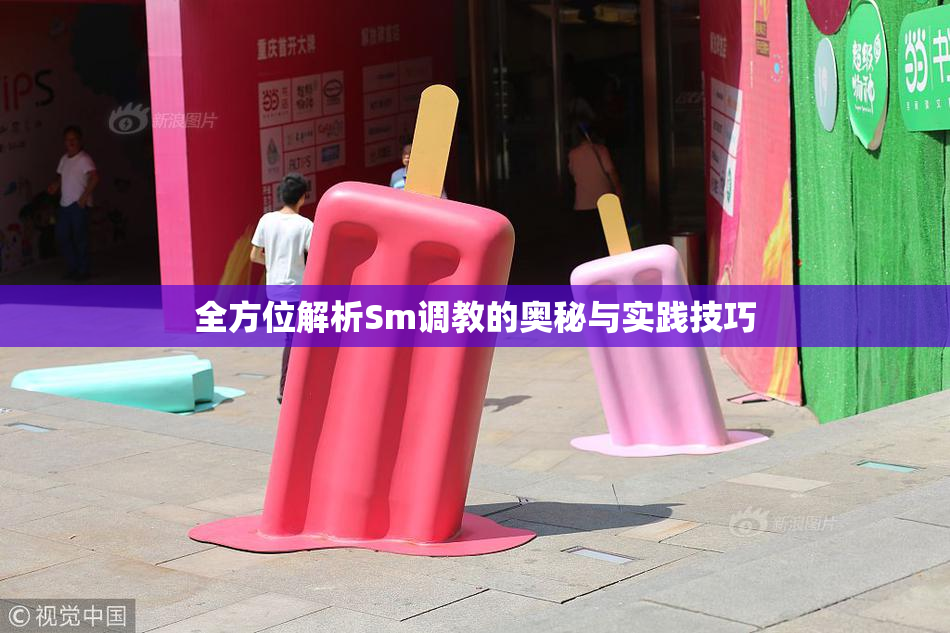 全方位解析Sm调教的奥秘与实践技巧