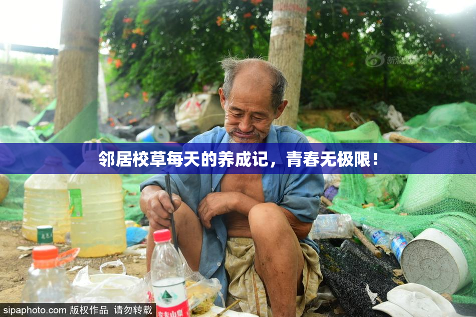 邻居校草每天的养成记，青春无极限！