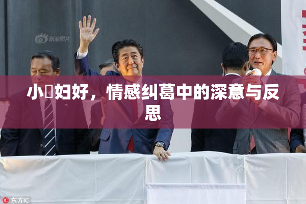 小婬妇好，情感纠葛中的深意与反思