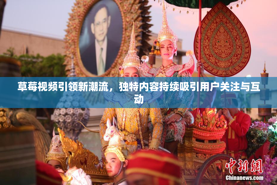 草莓视频引领新潮流，独特内容持续吸引用户关注与互动