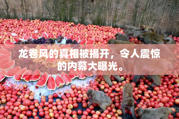 龙卷风的真相被揭开，令人震惊的内幕大曝光。