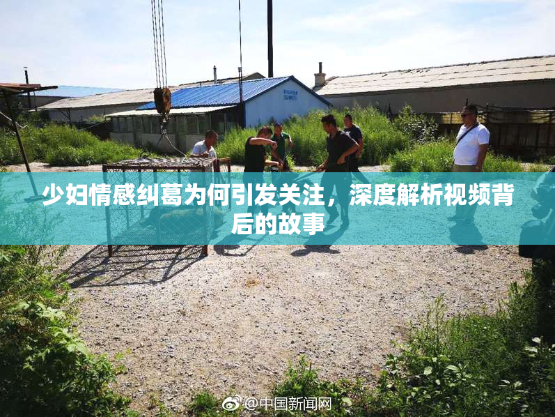 少妇情感纠葛为何引发关注，深度解析视频背后的故事
