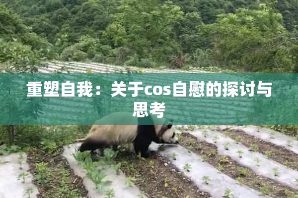 重塑自我：关于cos自慰的探讨与思考