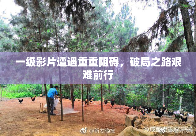 一级影片遭遇重重阻碍，破局之路艰难前行