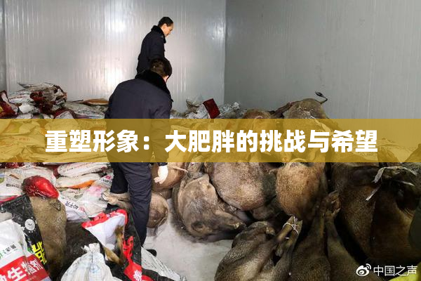 重塑形象：大肥胖的挑战与希望