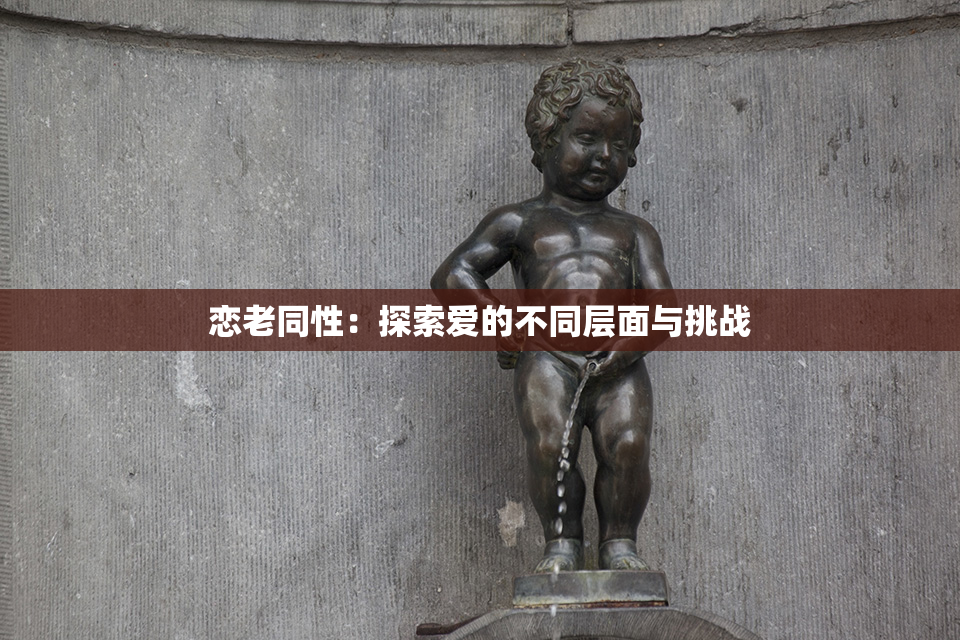 恋老同性：探索爱的不同层面与挑战