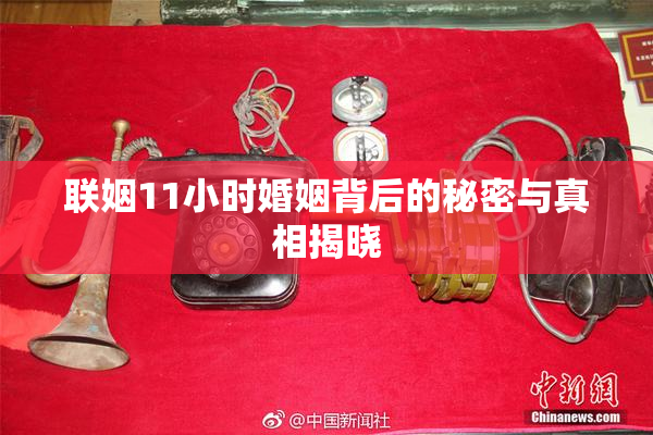联姻11小时婚姻背后的秘密与真相揭晓