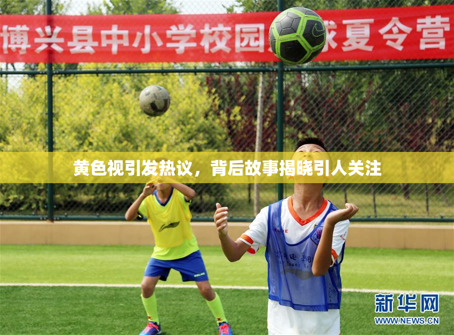 黄色视引发热议，背后故事揭晓引人关注
