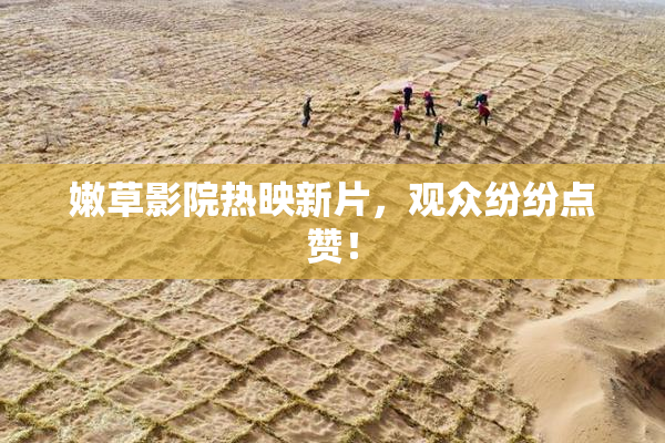 嫩草影院热映新片，观众纷纷点赞！