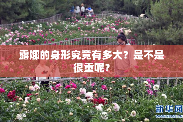 露娜的身形究竟有多大？是不是很重呢？