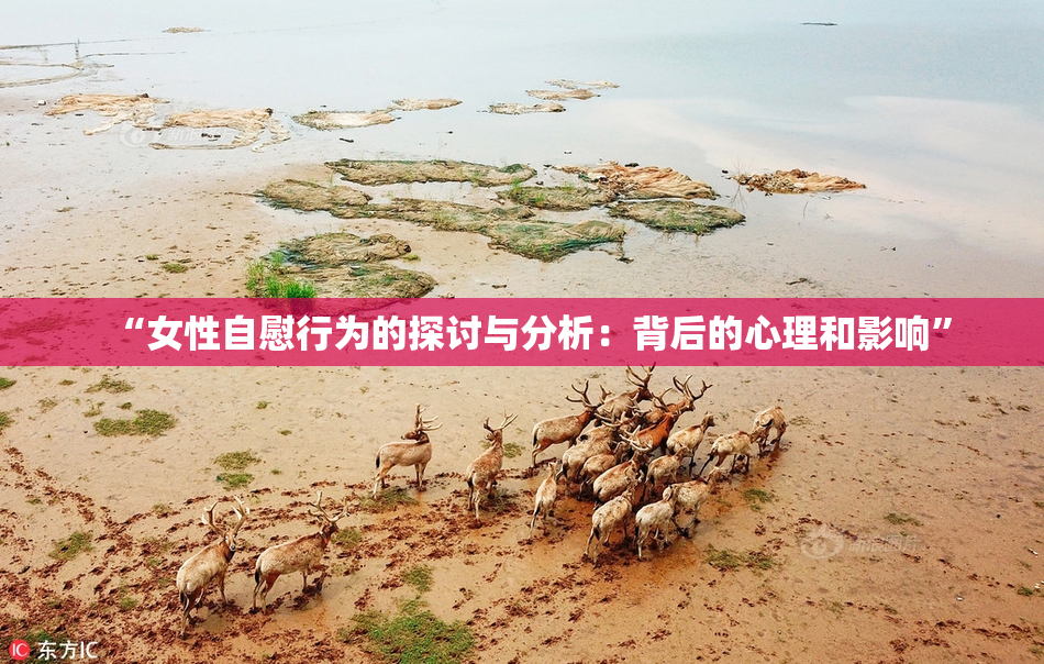 “女性自慰行为的探讨与分析：背后的心理和影响”