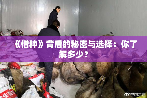 《借种》背后的秘密与选择：你了解多少？