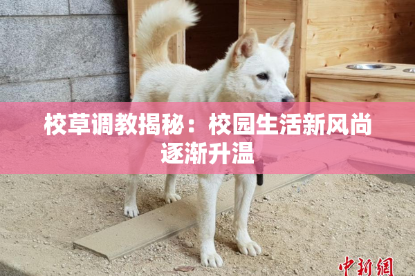 校草调教揭秘：校园生活新风尚逐渐升温