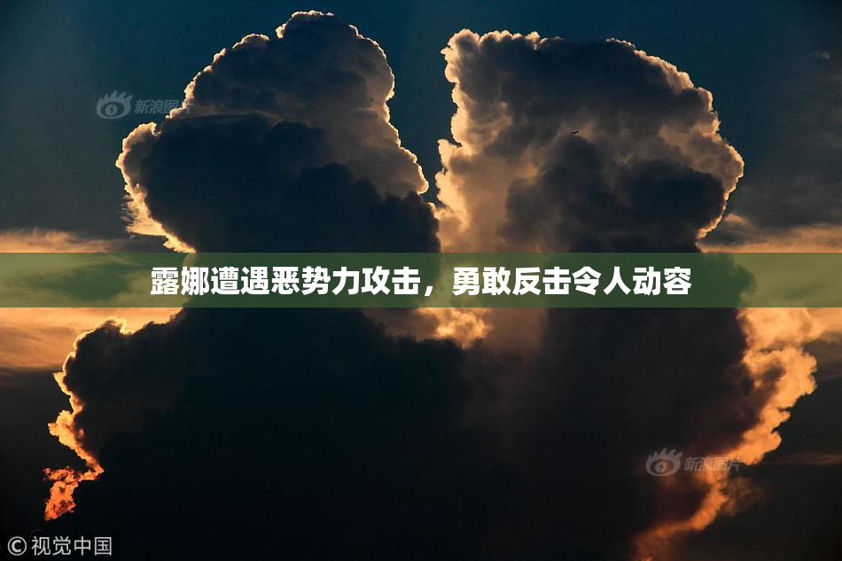 露娜遭遇恶势力攻击，勇敢反击令人动容