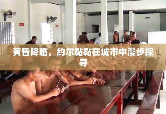 黄昏降临，约尔黏黏在城市中漫步探寻
