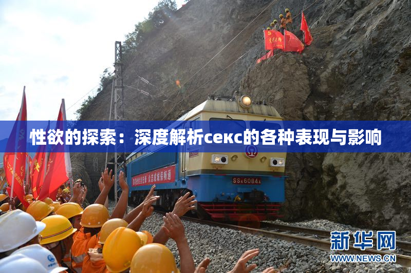 性欲的探索：深度解析секс的各种表现与影响