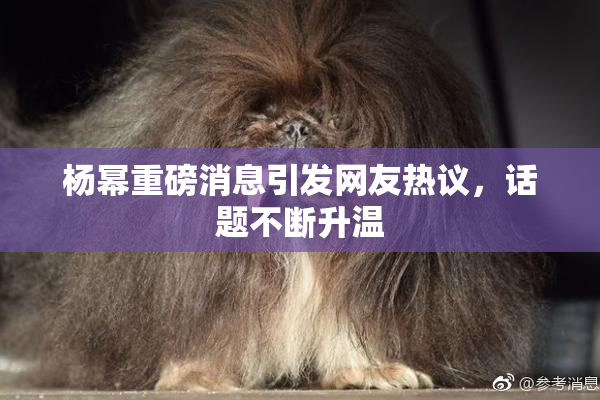 杨幂重磅消息引发网友热议，话题不断升温